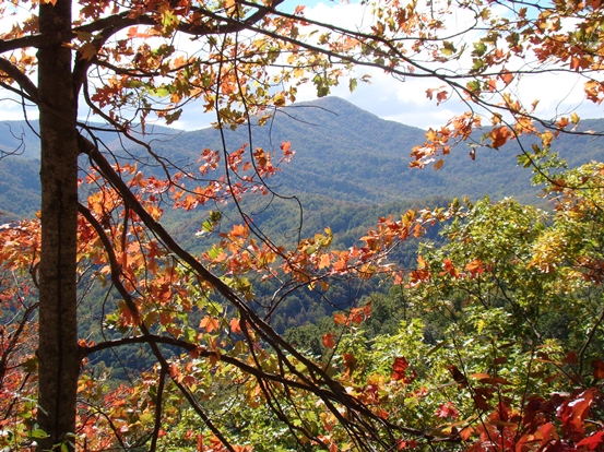 copy29_The_Smoky_Mountains,_in_Great_Smoky_Mountains_National_Park
